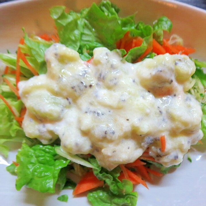 キウイドレッシングの生野菜サラダ